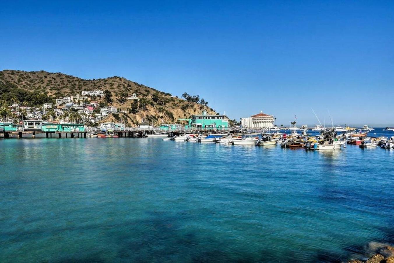 Gorgeous Oceanfront Villa With Panoramic Views Avalon Exterior photo